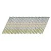 Metabo HPT 3 In. Plastic Strip Bright Framing Nails 21 Deg 1000 Pk