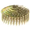 Grip-Rite 1-1/4 In. 11 Ga. Angled Strip Electro Galvanized Roofing Nails 15 Deg 7200 Pk -Craftsman Shop 4eb3f3d7 55ac 45eb 9fe9 5b3c2484bdfc