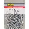 Surebonder 1/4 In. D X 1/2 In. Aluminum Rivets Silver 100 Pk -Craftsman Shop df234464 1793 4ecd a292 e2f8cdf88840