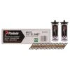 Paslode ProStrip 1-1/2 In. Paper Strip Brite Fuel And Nail Kit 30 Deg 1 Pk 3 Paslode ProStrip 1-1/2 In. Paper Strip Brite Fuel And Nail Kit 30 Deg 1 Pk -Craftsman Shop f47d3839 fd4b 4a92 b60a 623ab3e6a780